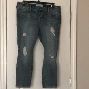 Torrid Distressed Jeans